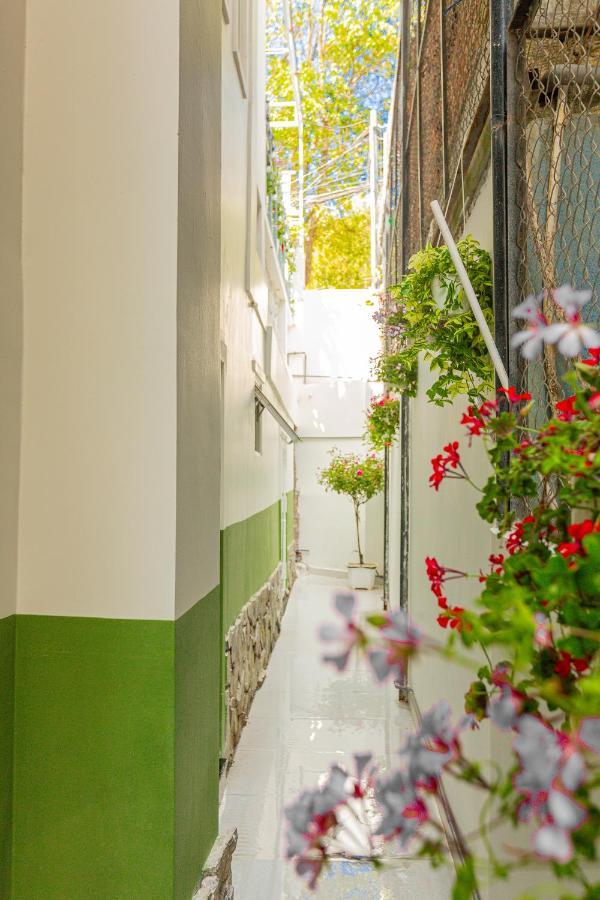 Dahill 196 Dalat Hotel Ngoại thất bức ảnh